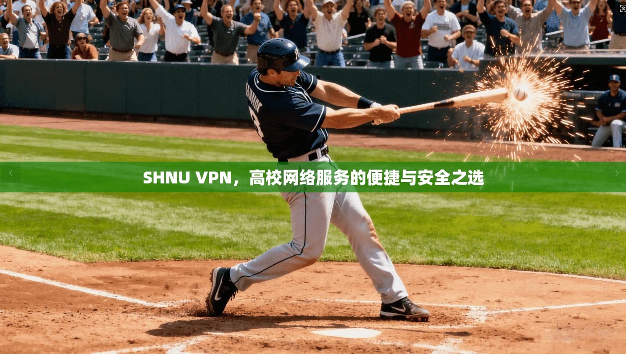 SHNU VPN，高校网络服务的便捷与安全之选