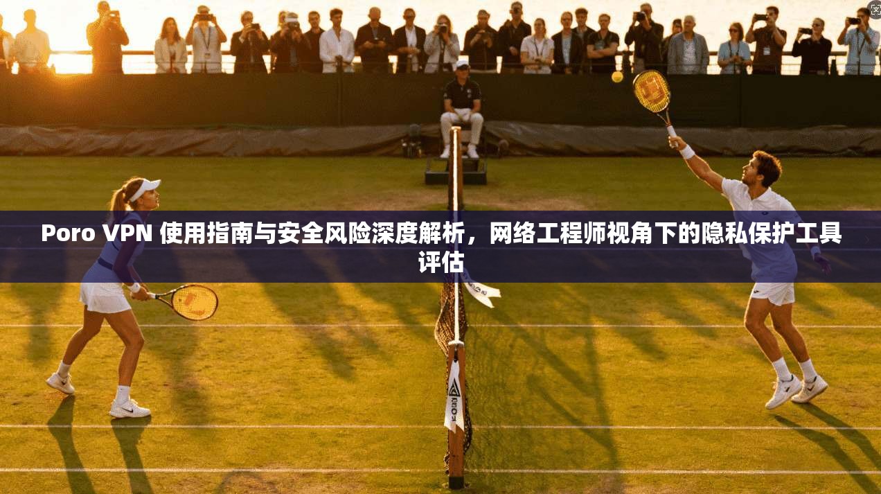 Poro VPN 使用指南与安全风险深度解析，网络工程师视角下的隐私保护工具评估