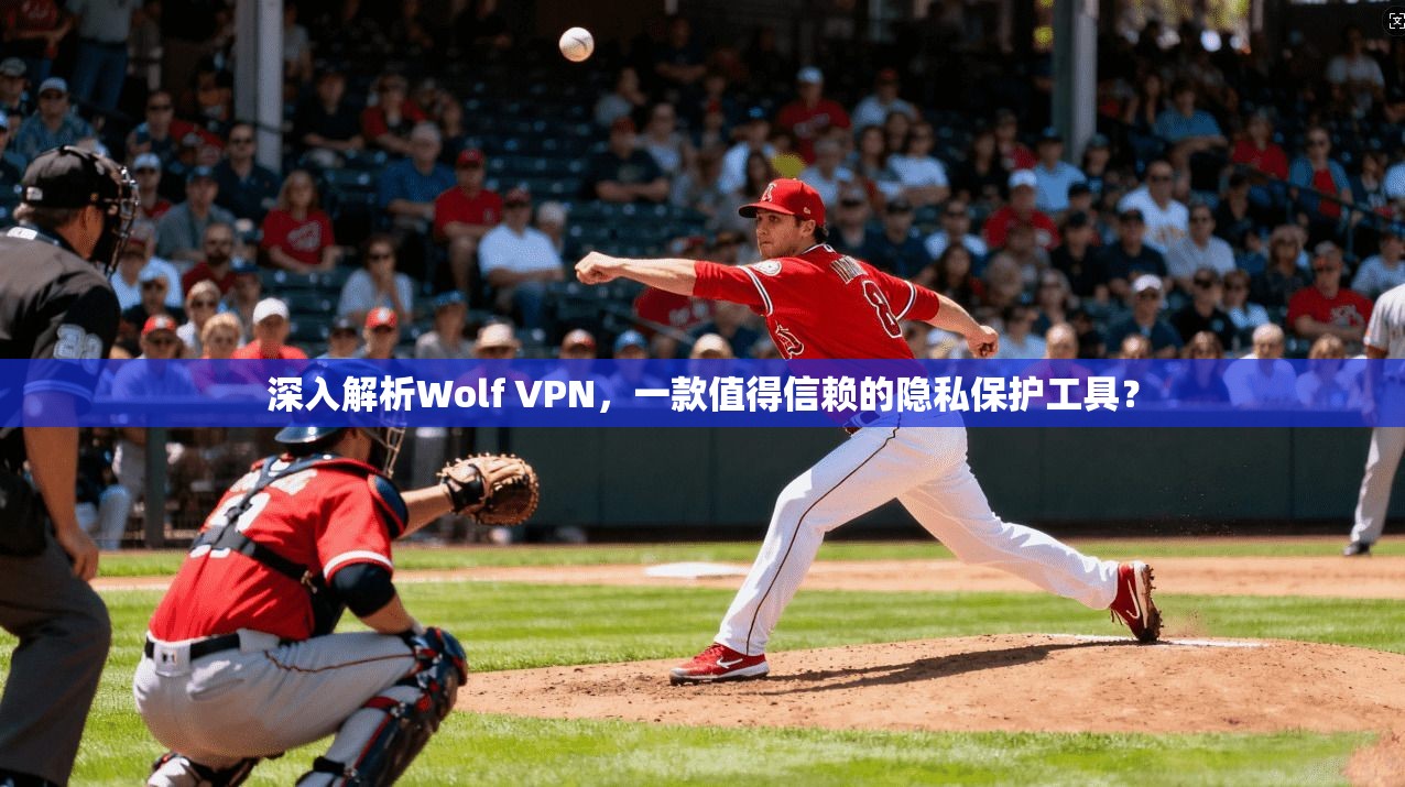 深入解析Wolf VPN，一款值得信赖的隐私保护工具？