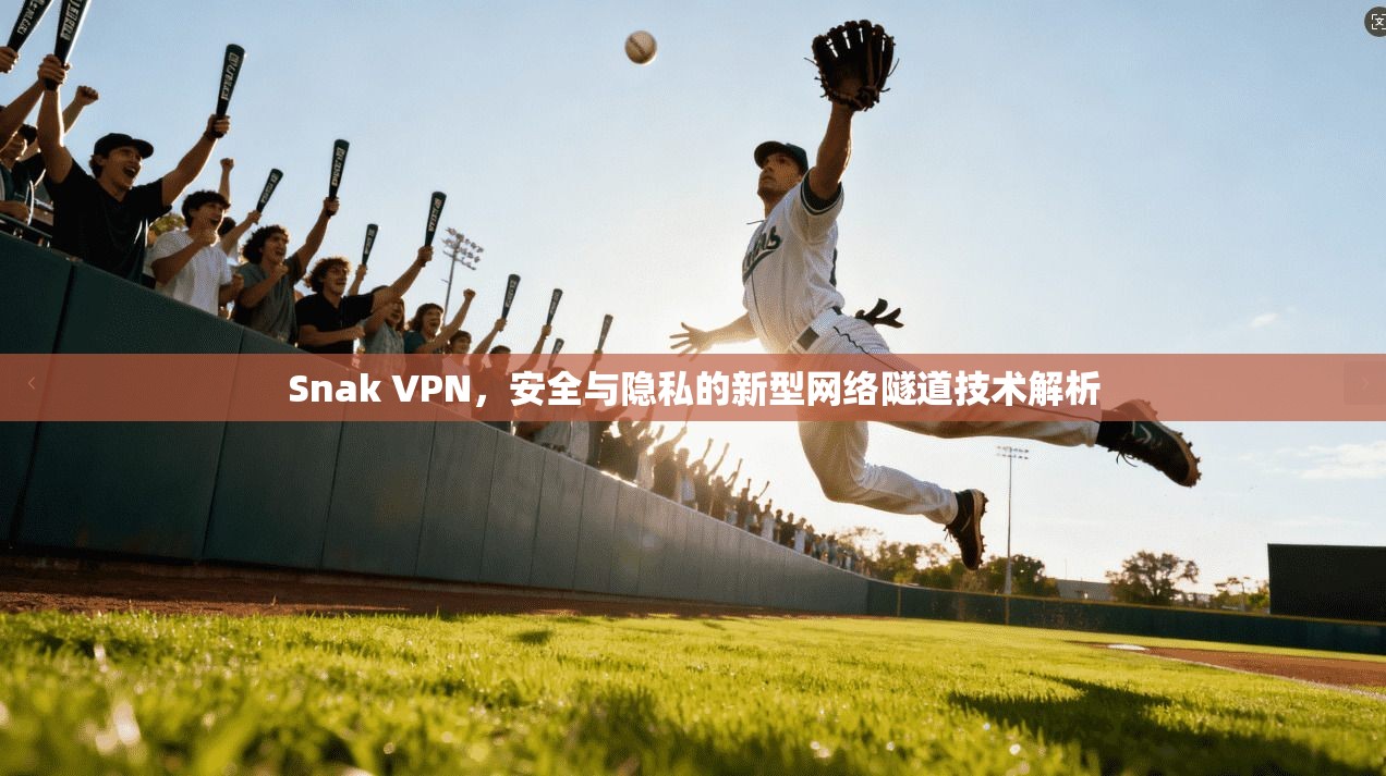 Snak VPN，安全与隐私的新型网络隧道技术解析