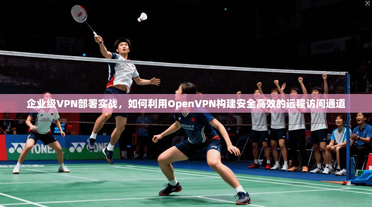 企业级VPN部署实战，如何利用OpenVPN构建安全高效的远程访问通道