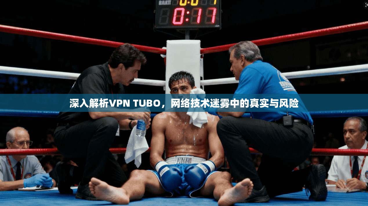深入解析VPN TUBO，网络技术迷雾中的真实与风险