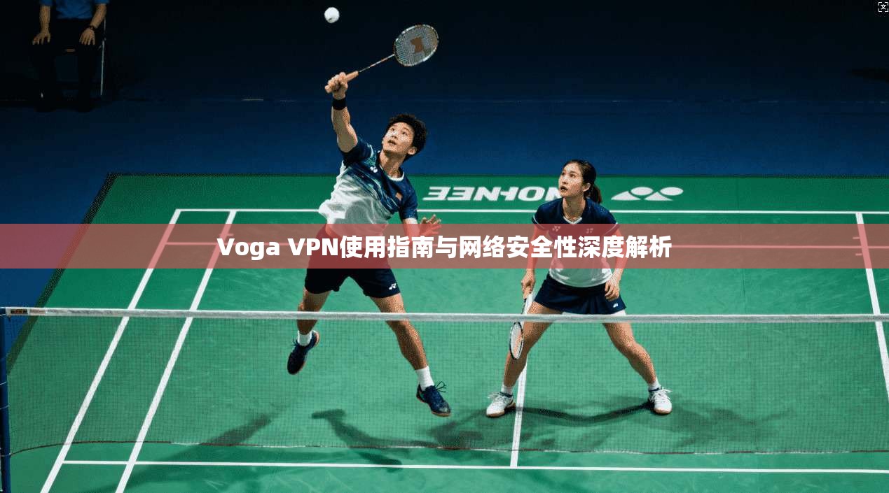 Voga VPN使用指南与网络安全性深度解析