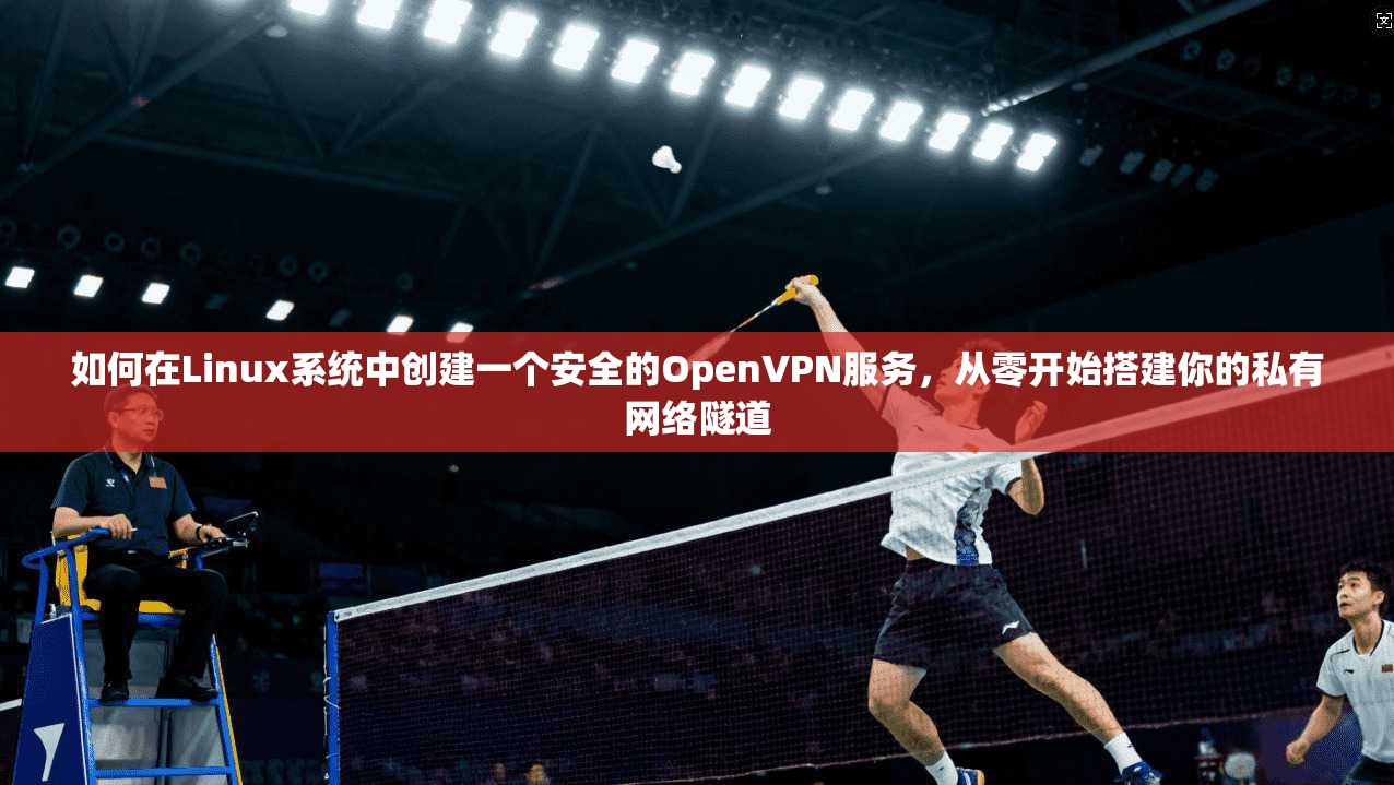 如何在Linux系统中创建一个安全的OpenVPN服务，从零开始搭建你的私有网络隧道