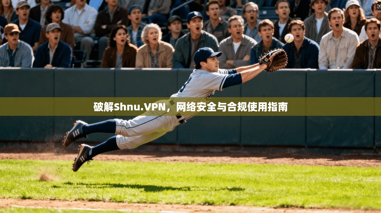 破解Shnu.VPN,网络安全与合规使用指南