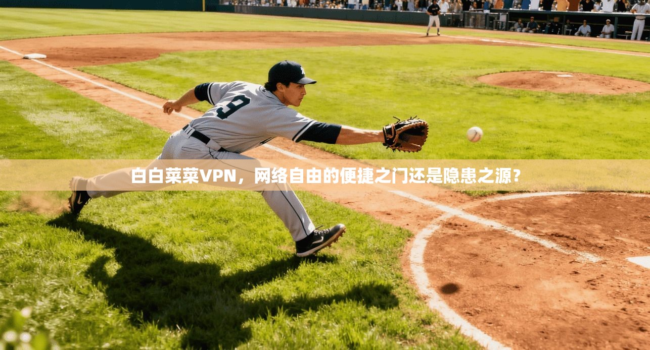 白白菜菜VPN,网络自由的便捷之门还是隐患之源?