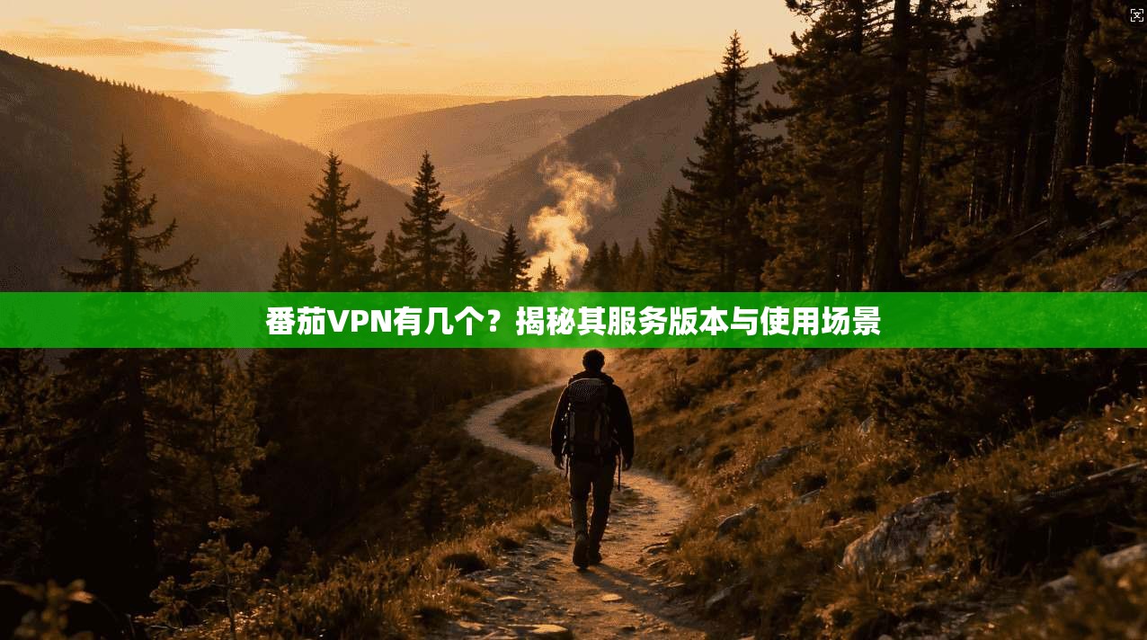 番茄VPN有几个？揭秘其服务版本与使用场景