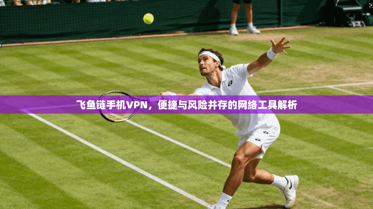 飞鱼链手机VPN，便捷与风险并存的网络工具解析