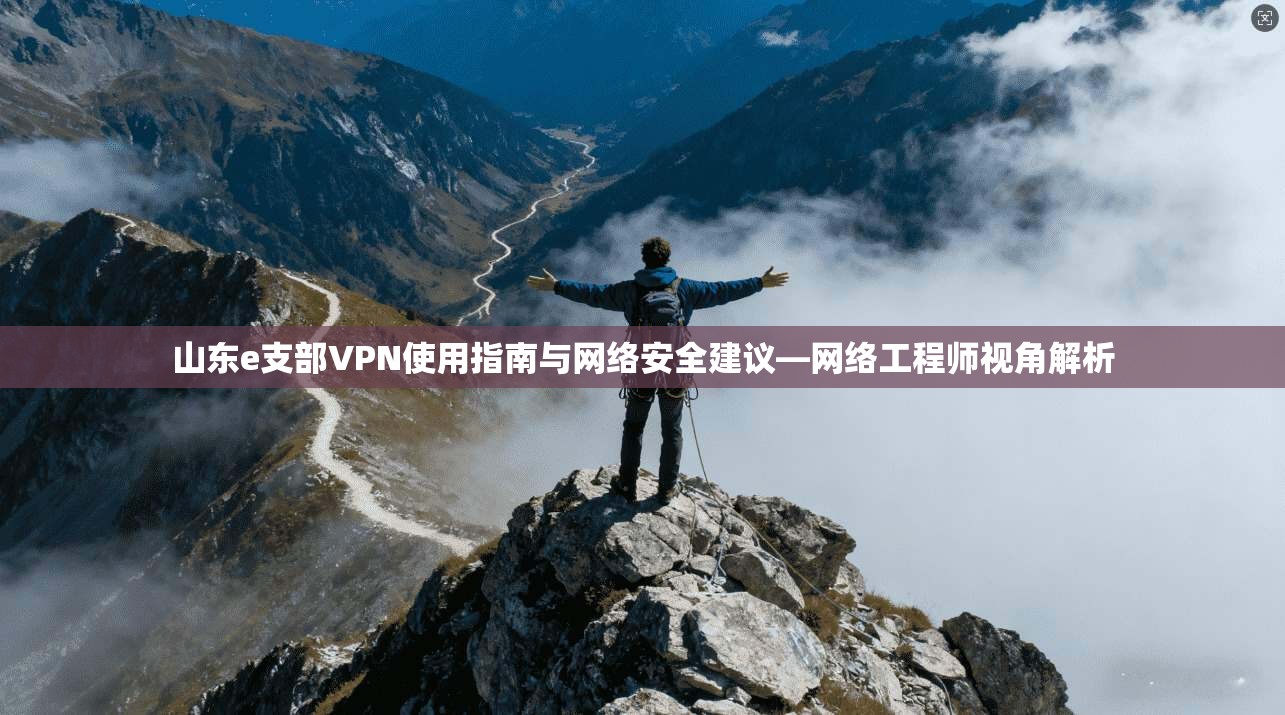山东e支部VPN使用指南与网络安全建议—网络工程师视角解析