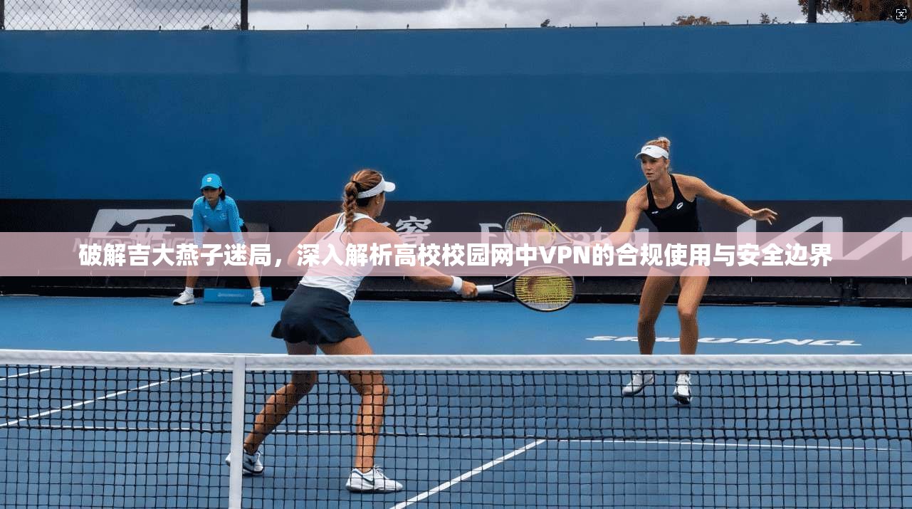 破解吉大燕子迷局，深入解析高校校园网中VPN的合规使用与安全边界