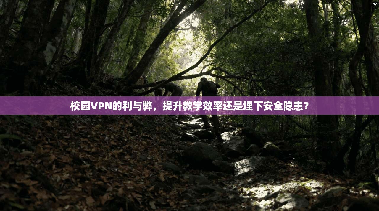 校园VPN的利与弊,提升教学效率还是埋下安全隐患?