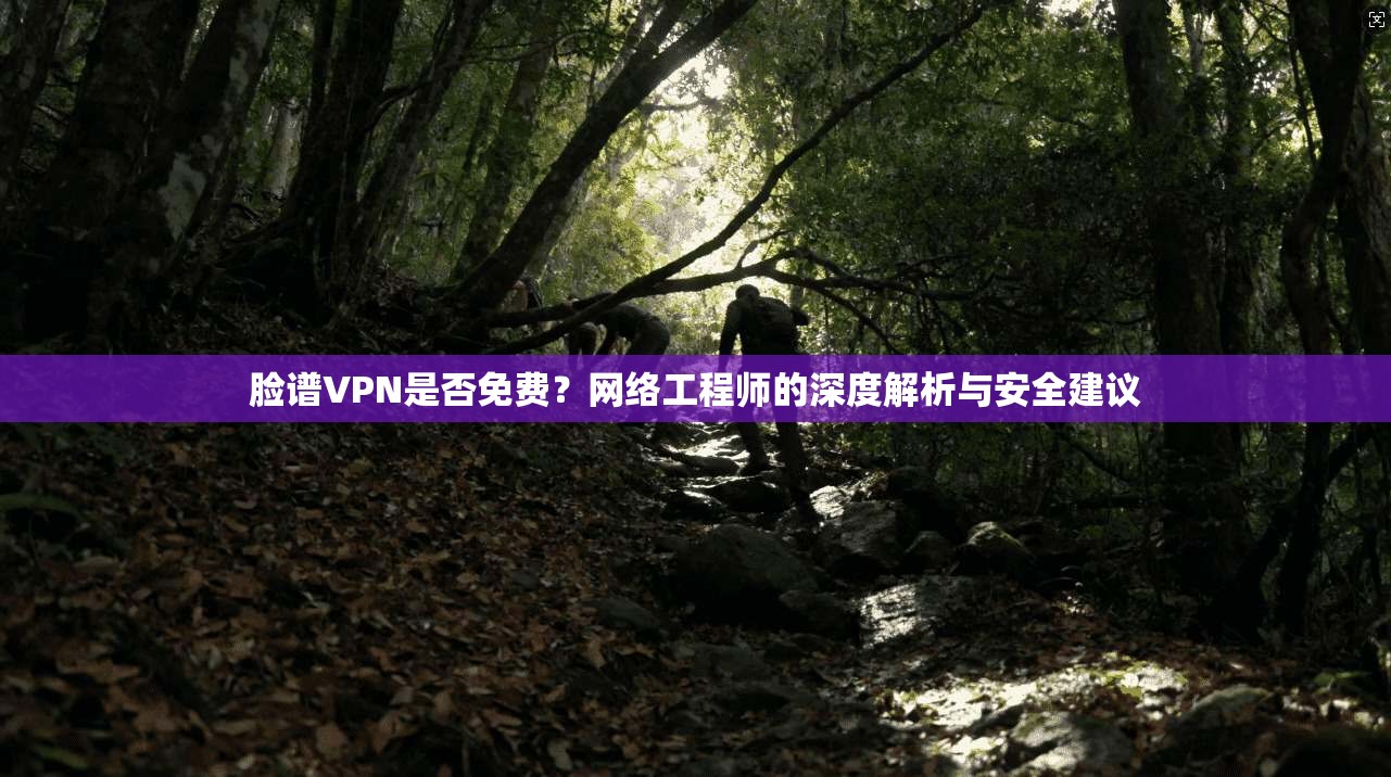 脸谱VPN是否免费？网络工程师的深度解析与安全建议
