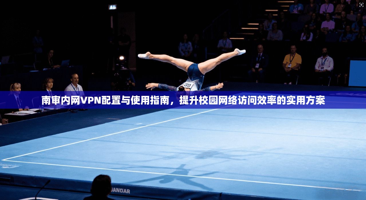 南审内网VPN配置与使用指南，提升校园网络访问效率的实用方案