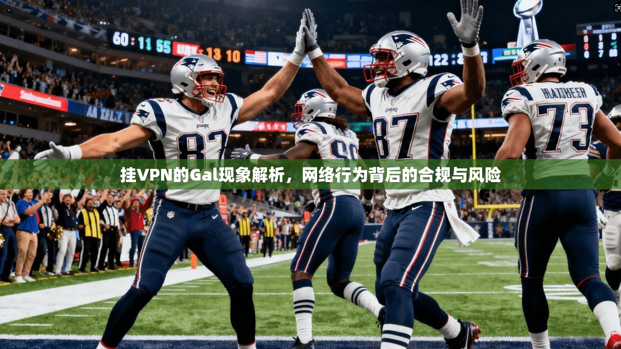 挂VPN的Gal现象解析，网络行为背后的合规与风险
