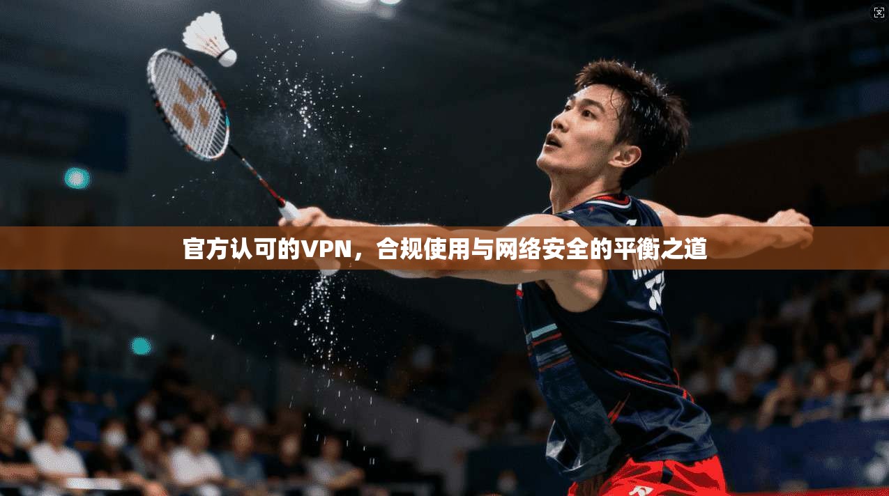 官方认可的VPN，合规使用与网络安全的平衡之道