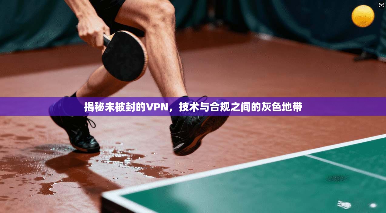 揭秘未被封的VPN，技术与合规之间的灰色地带