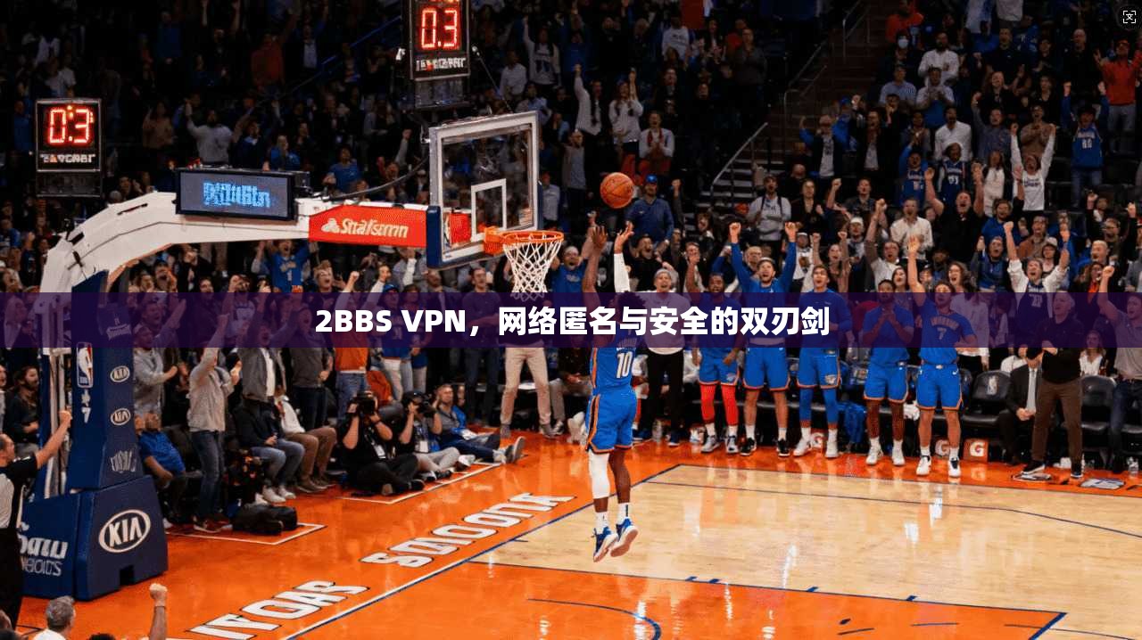 2BBS VPN，网络匿名与安全的双刃剑