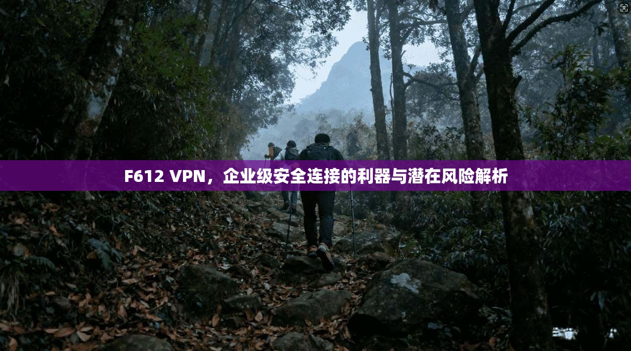 F612 VPN，企业级安全连接的利器与潜在风险解析