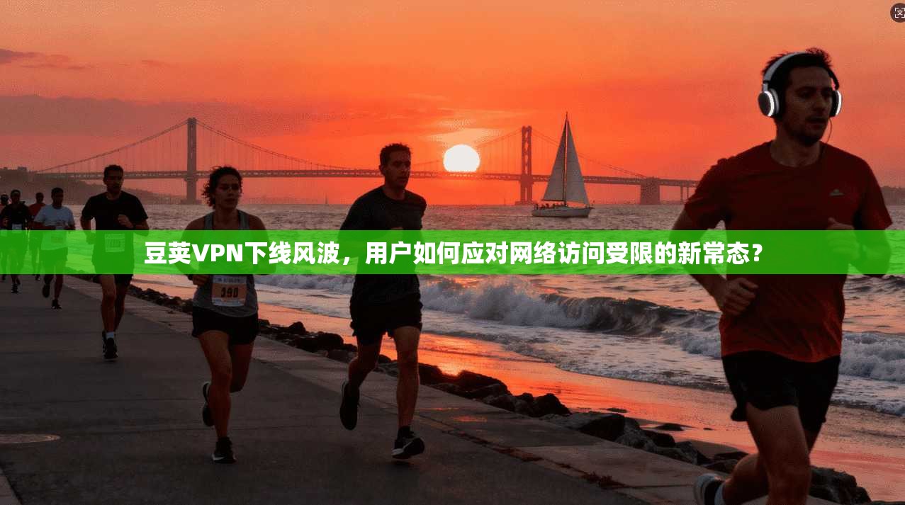 豆荚VPN下线风波,用户如何应对网络访问受限的新常态?