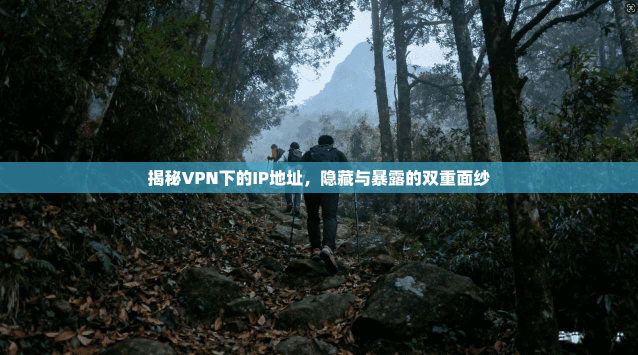 揭秘VPN下的IP地址,隐藏与暴露的双重面纱