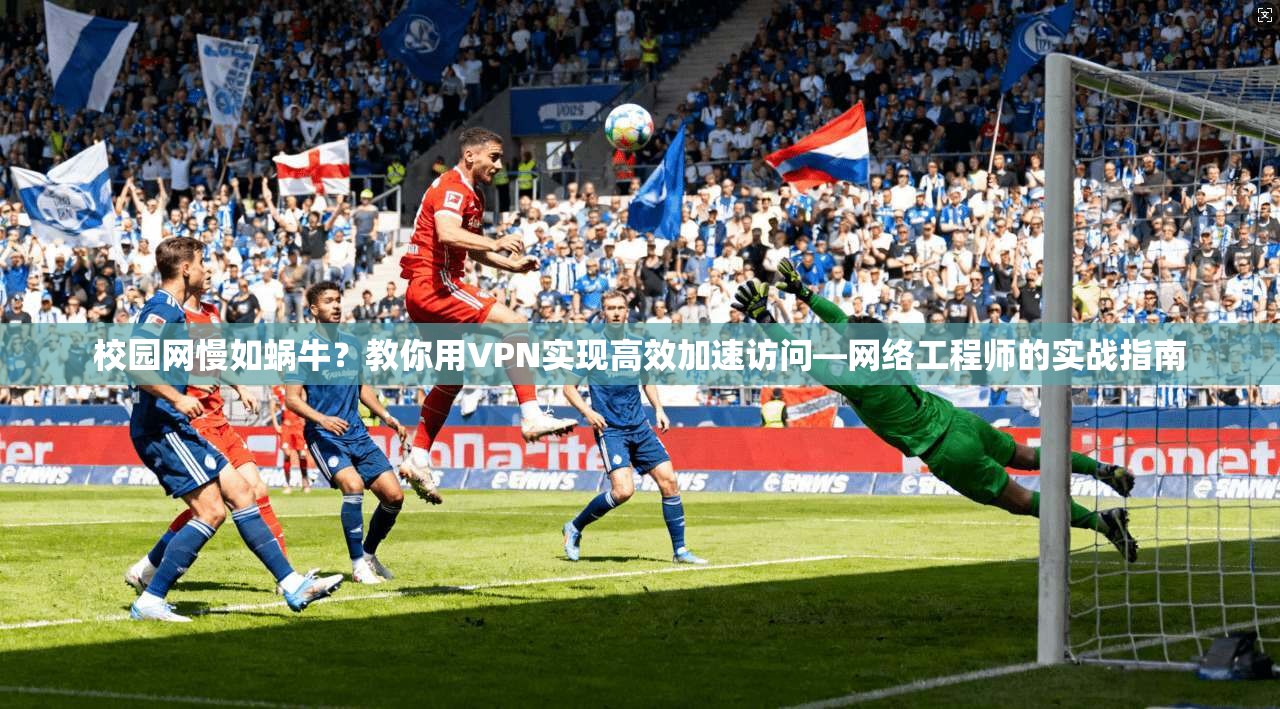 校园网慢如蜗牛？教你用VPN实现高效加速访问—网络工程师的实战指南