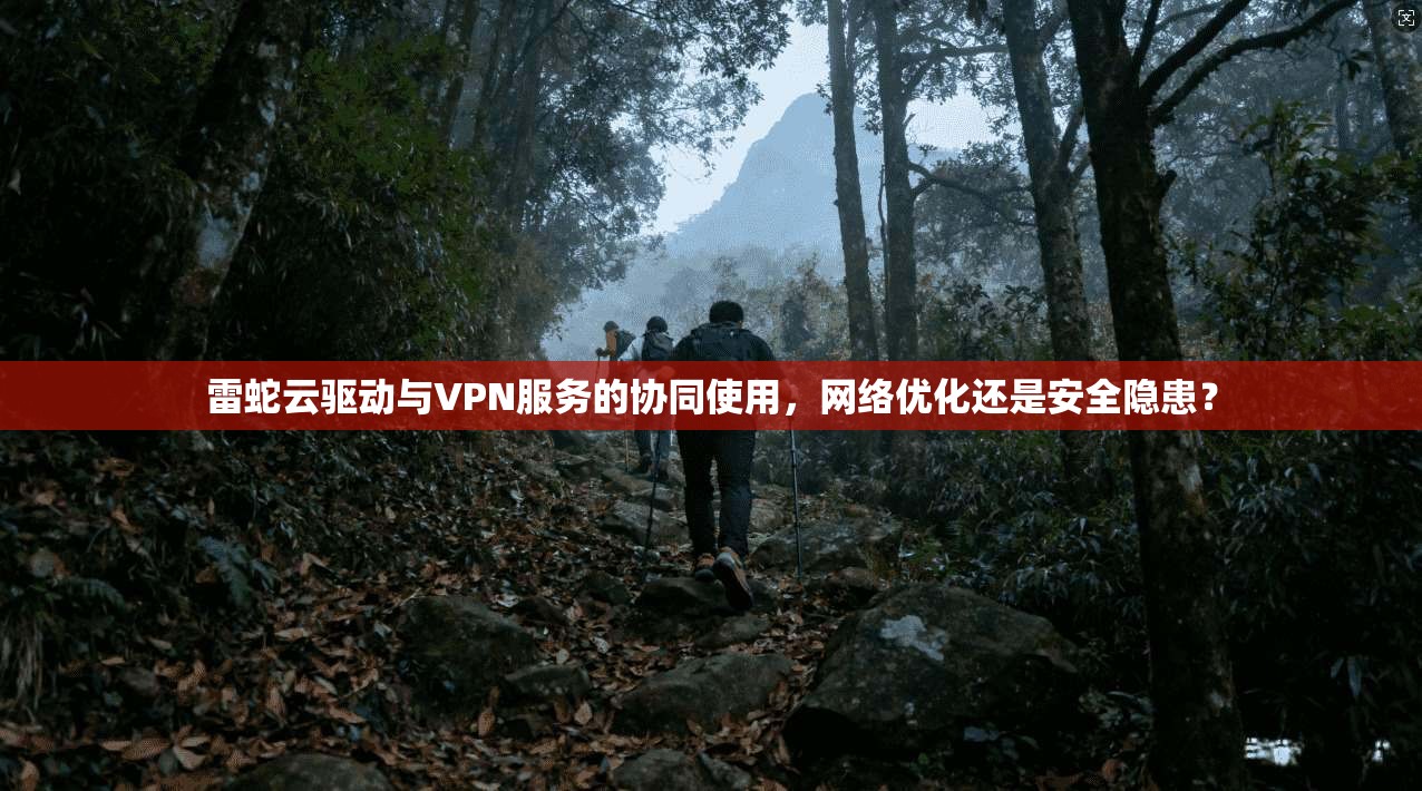 雷蛇云驱动与VPN服务的协同使用，网络优化还是安全隐患？