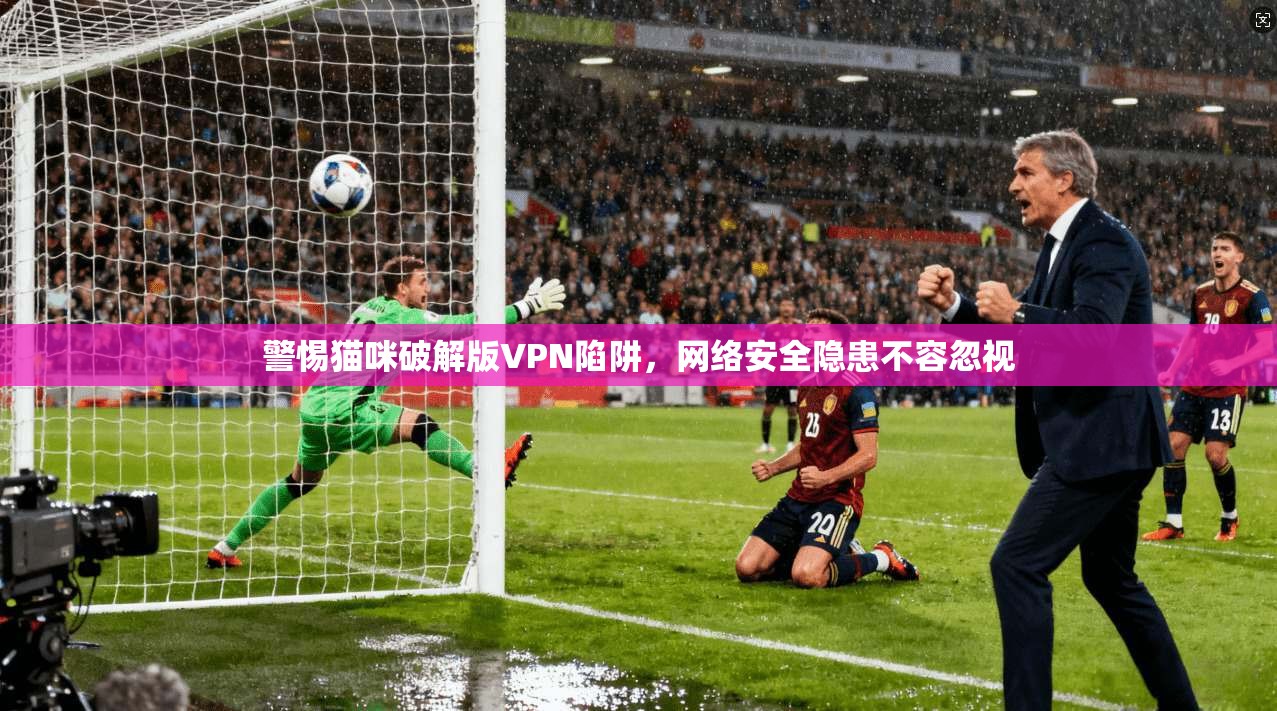 警惕猫咪破解版VPN陷阱，网络安全隐患不容忽视