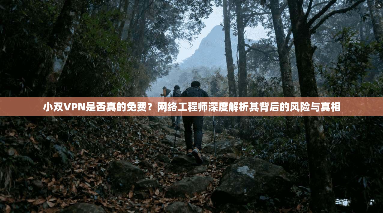 小双VPN是否真的免费？网络工程师深度解析其背后的风险与真相