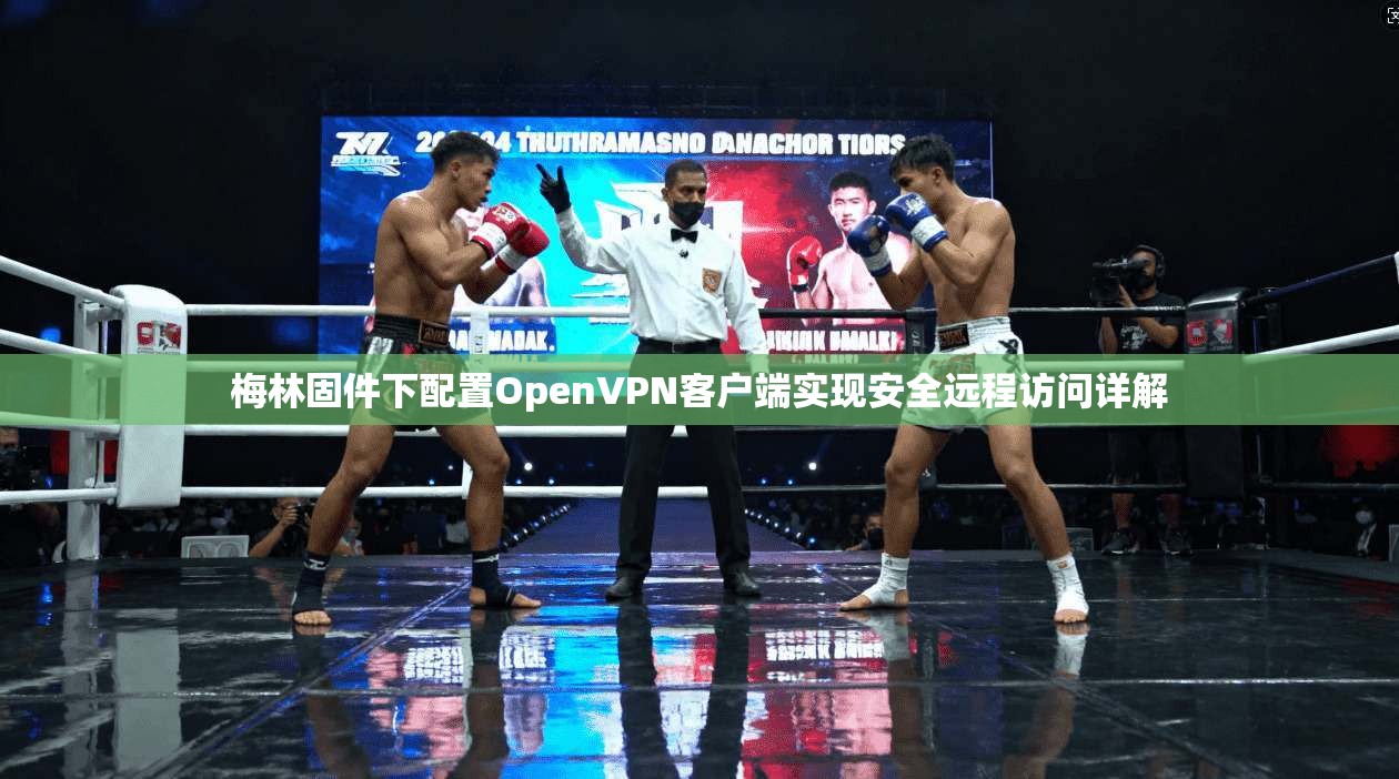 梅林固件下配置OpenVPN客户端实现安全远程访问详解