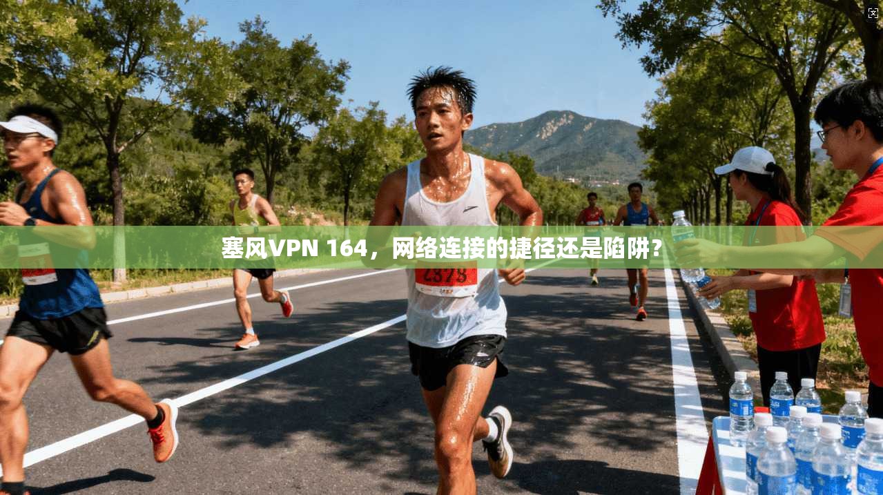 塞风VPN 164，网络连接的捷径还是陷阱？