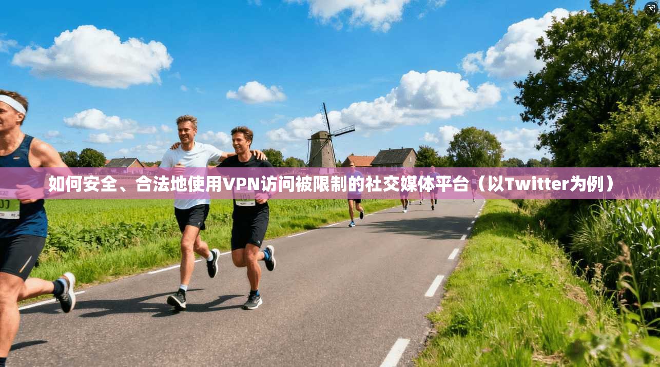 如何安全、合法地使用VPN访问被限制的社交媒体平台（以Twitter为例）