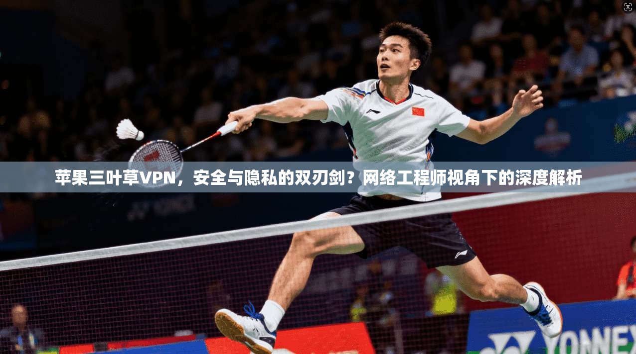 苹果三叶草VPN，安全与隐私的双刃剑？网络工程师视角下的深度解析