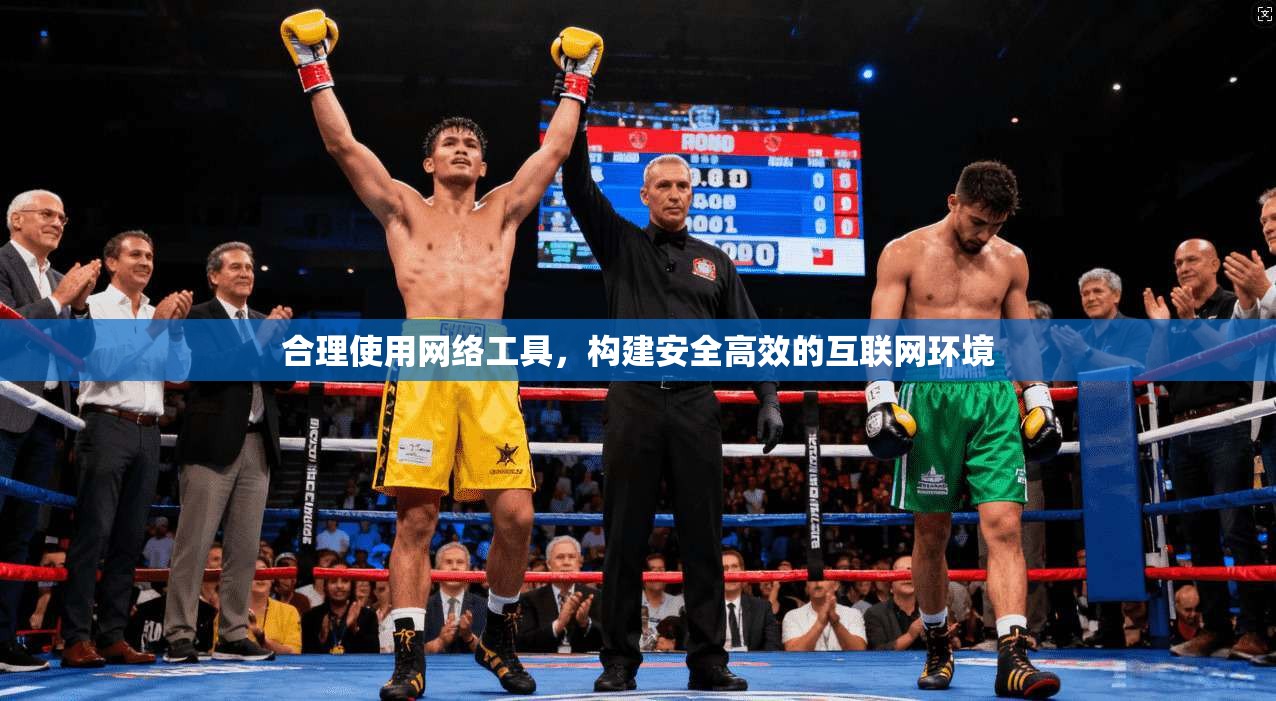 合理使用网络工具，构建安全高效的互联网环境
