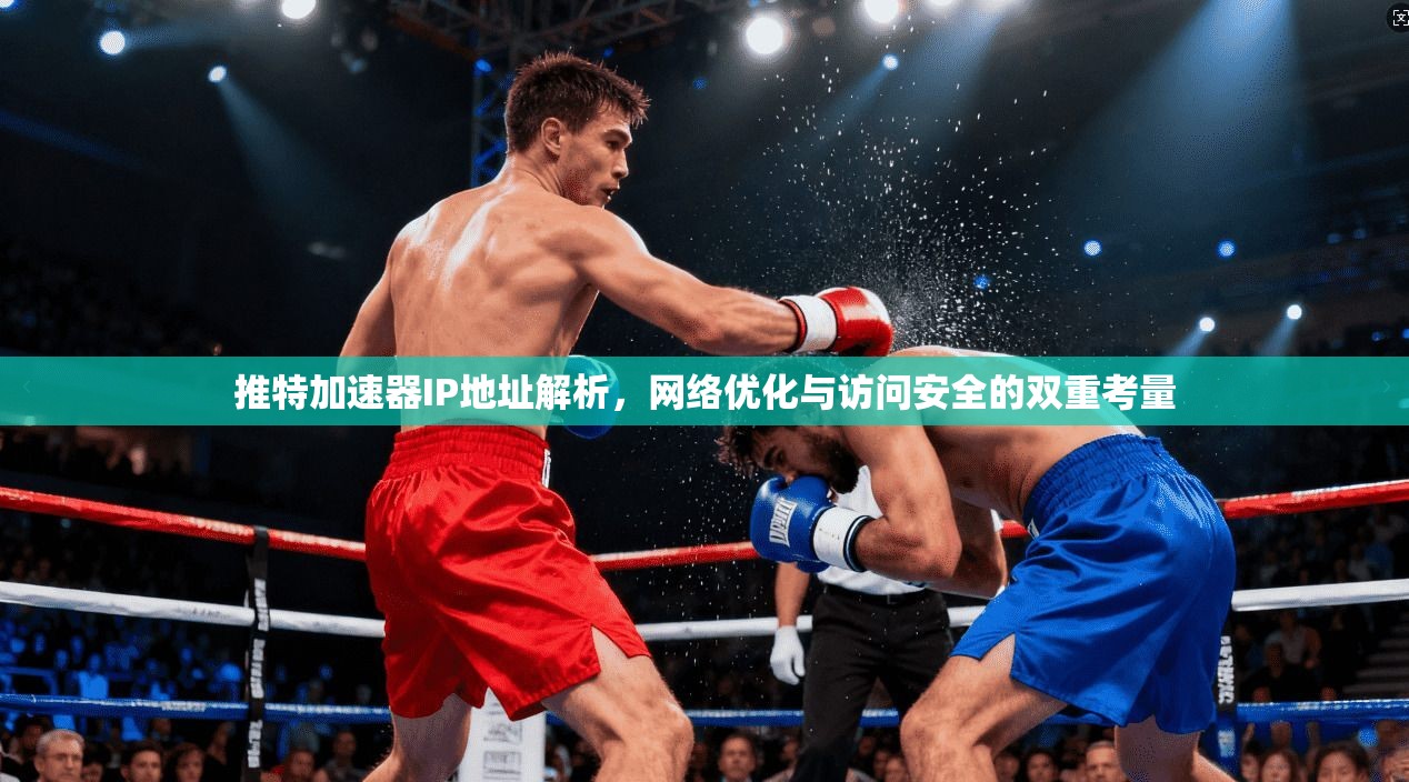 推特加速器IP地址解析，网络优化与访问安全的双重考量