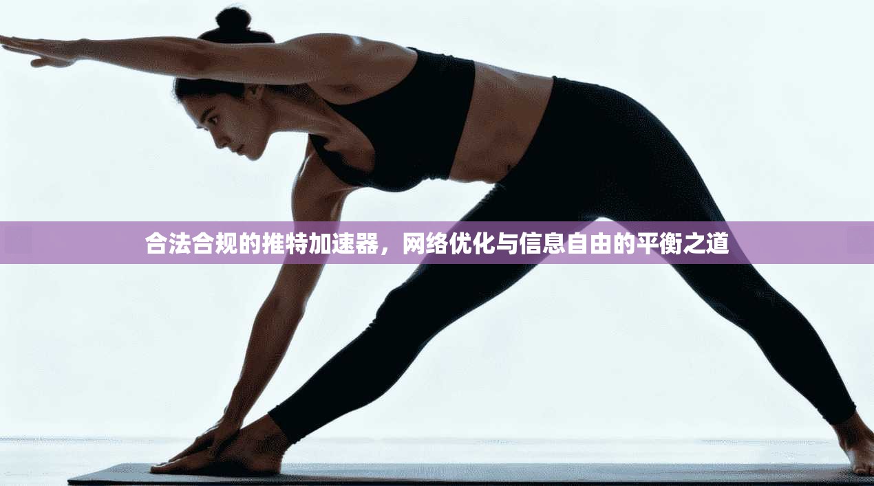 合法合规的推特加速器，网络优化与信息自由的平衡之道