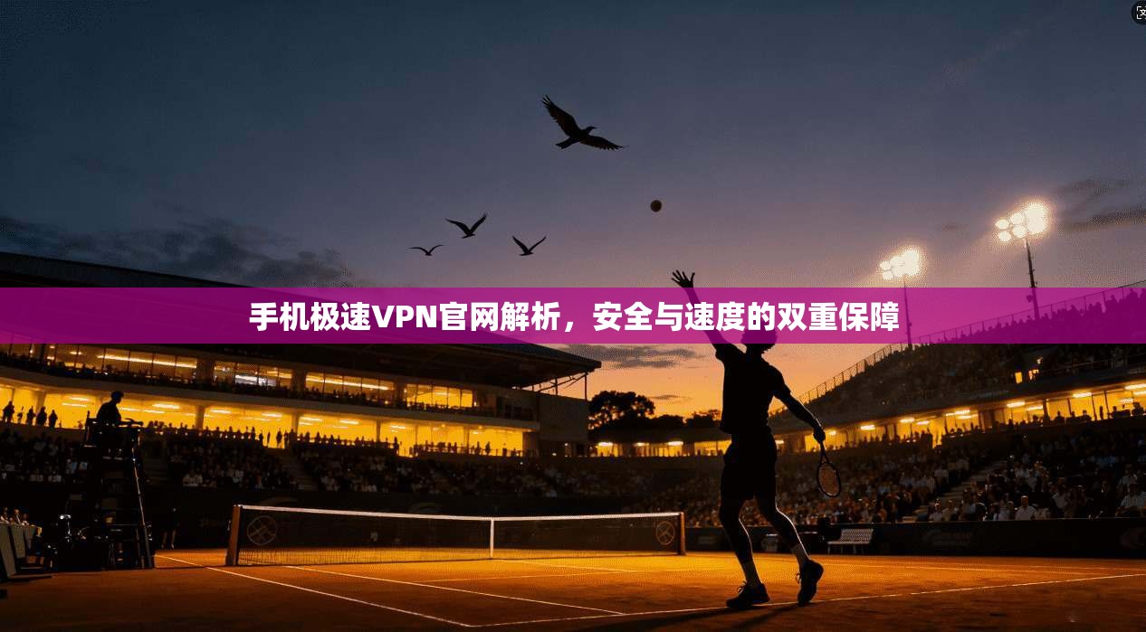 手机极速VPN官网解析,安全与速度的双重保障
