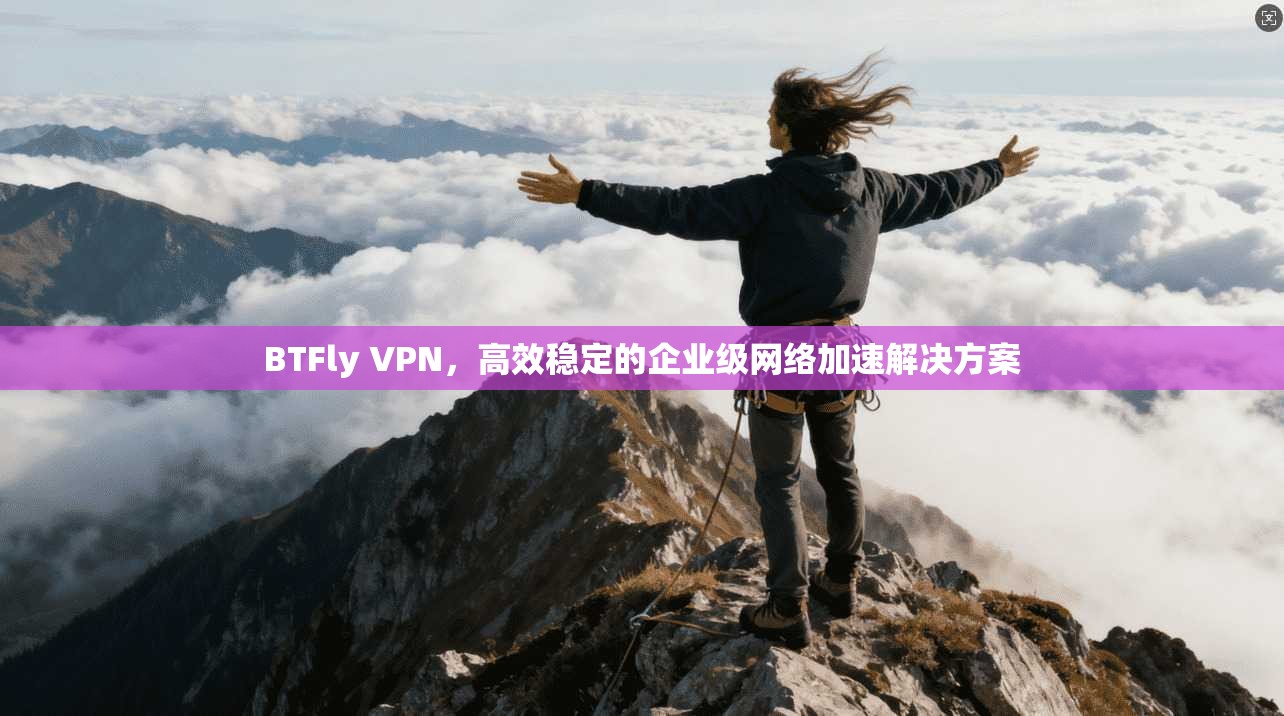 BTFly VPN,高效稳定的企业级网络加速解决方案 BTFly VPN,高效稳定的企业级网络加速解决方案