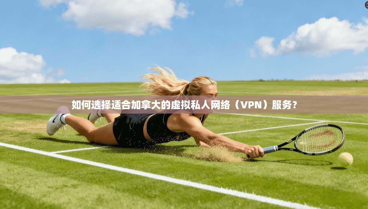 如何选择适合加拿大的虚拟私人网络(VPN)服务?