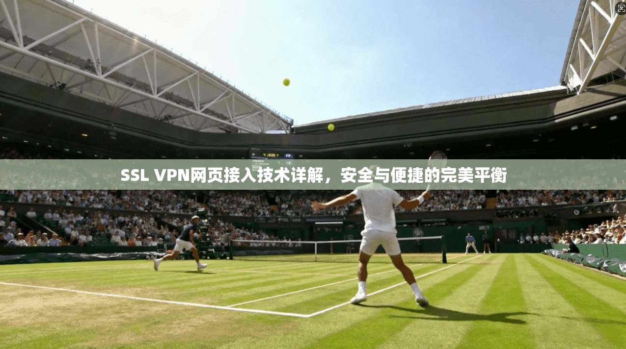 SSL VPN网页接入技术详解，安全与便捷的完美平衡