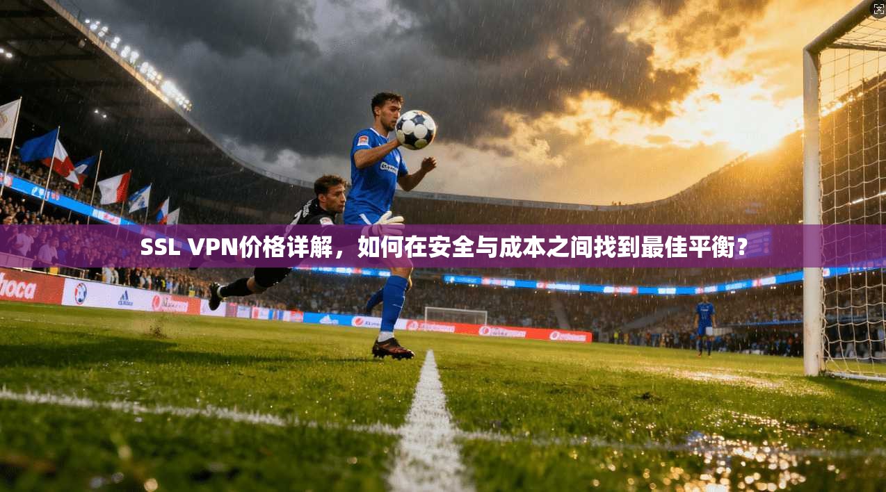 SSL VPN价格详解，如何在安全与成本之间找到最佳平衡？