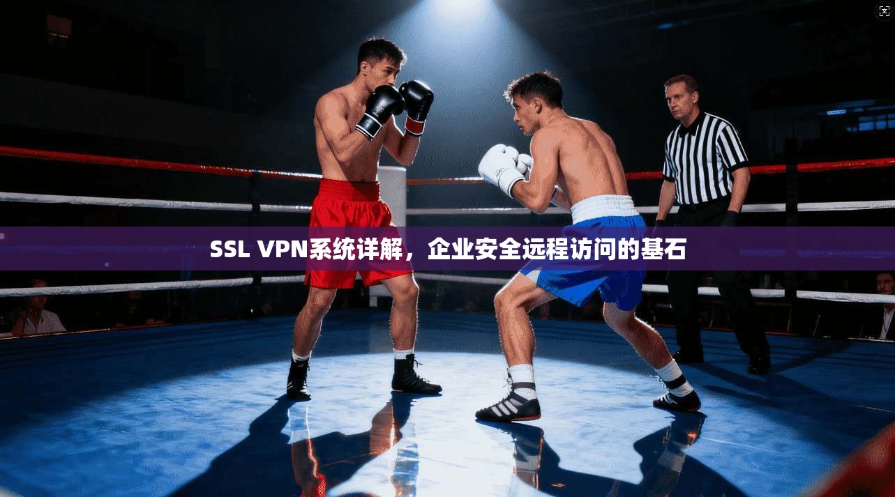 SSL VPN系统详解,企业安全远程访问的基石