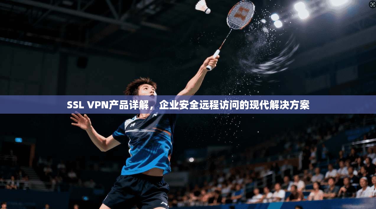 SSL VPN产品详解,企业安全远程访问的现代解决方案