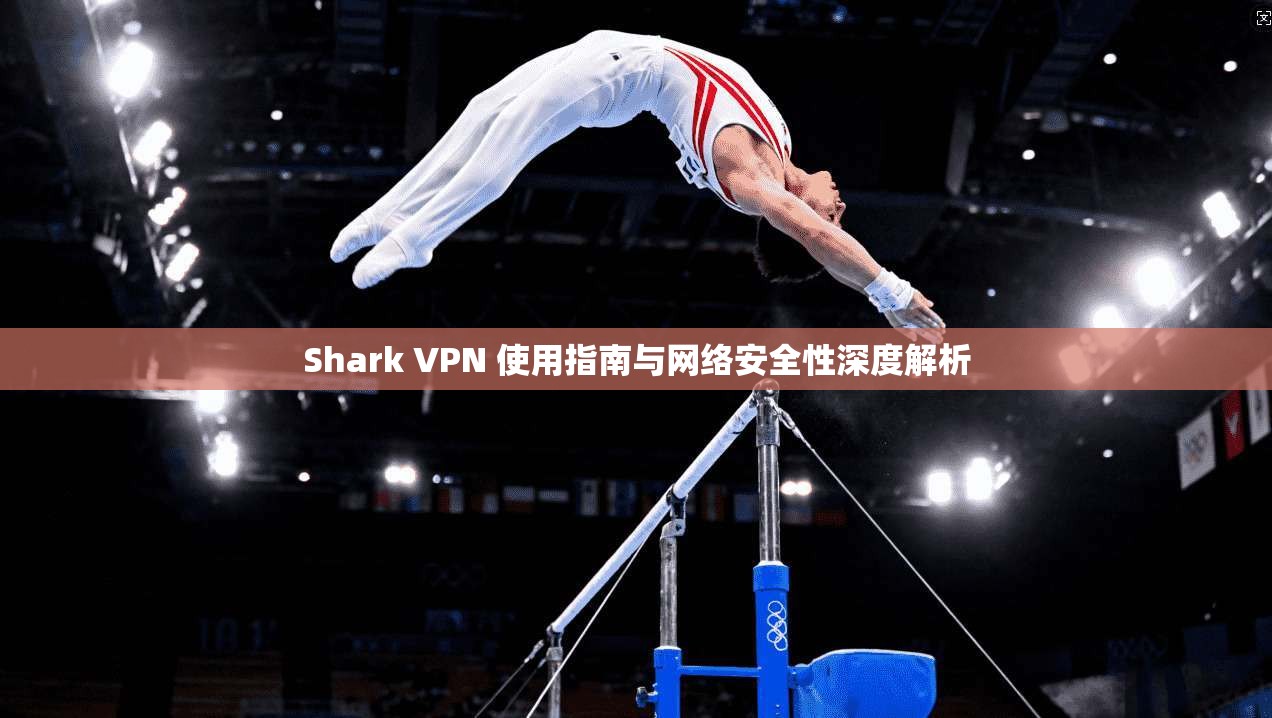 Shark VPN 使用指南与网络安全性深度解析
