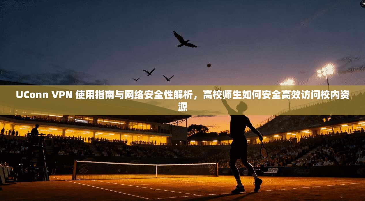 UConn VPN 使用指南与网络安全性解析，高校师生如何安全高效访问校内资源