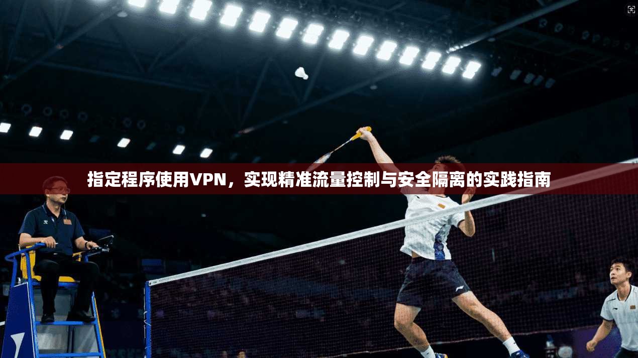 指定程序使用VPN，实现精准流量控制与安全隔离的实践指南