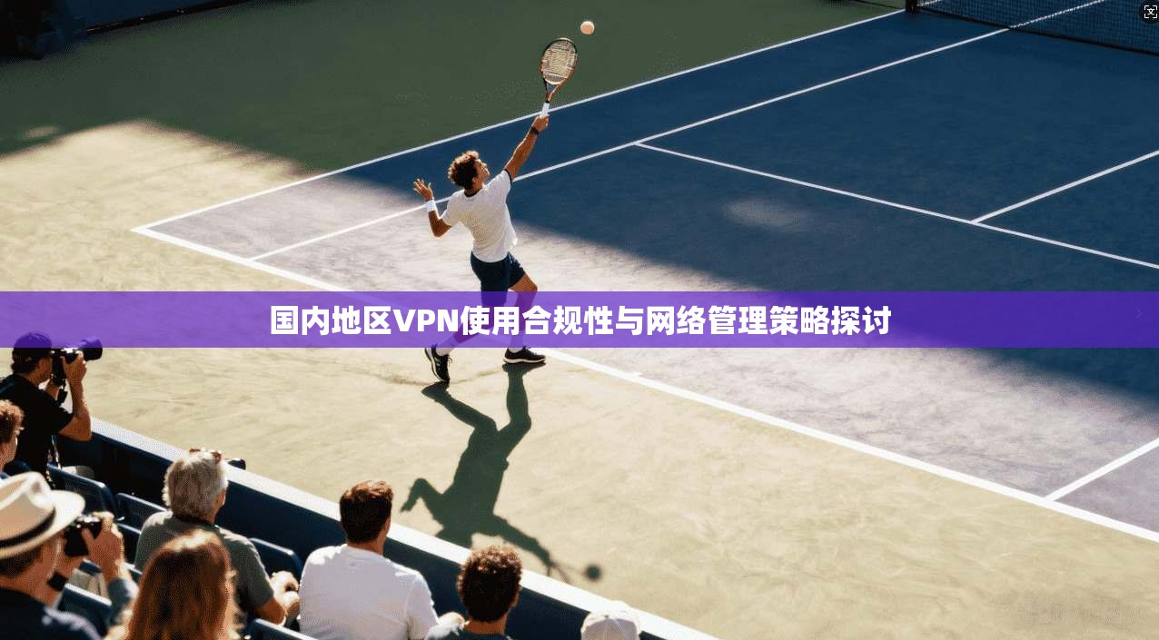 国内地区VPN使用合规性与网络管理策略探讨