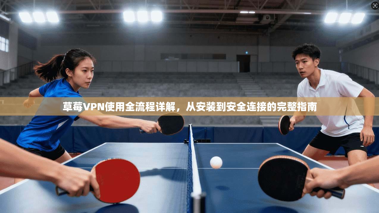 草莓VPN使用全流程详解，从安装到安全连接的完整指南