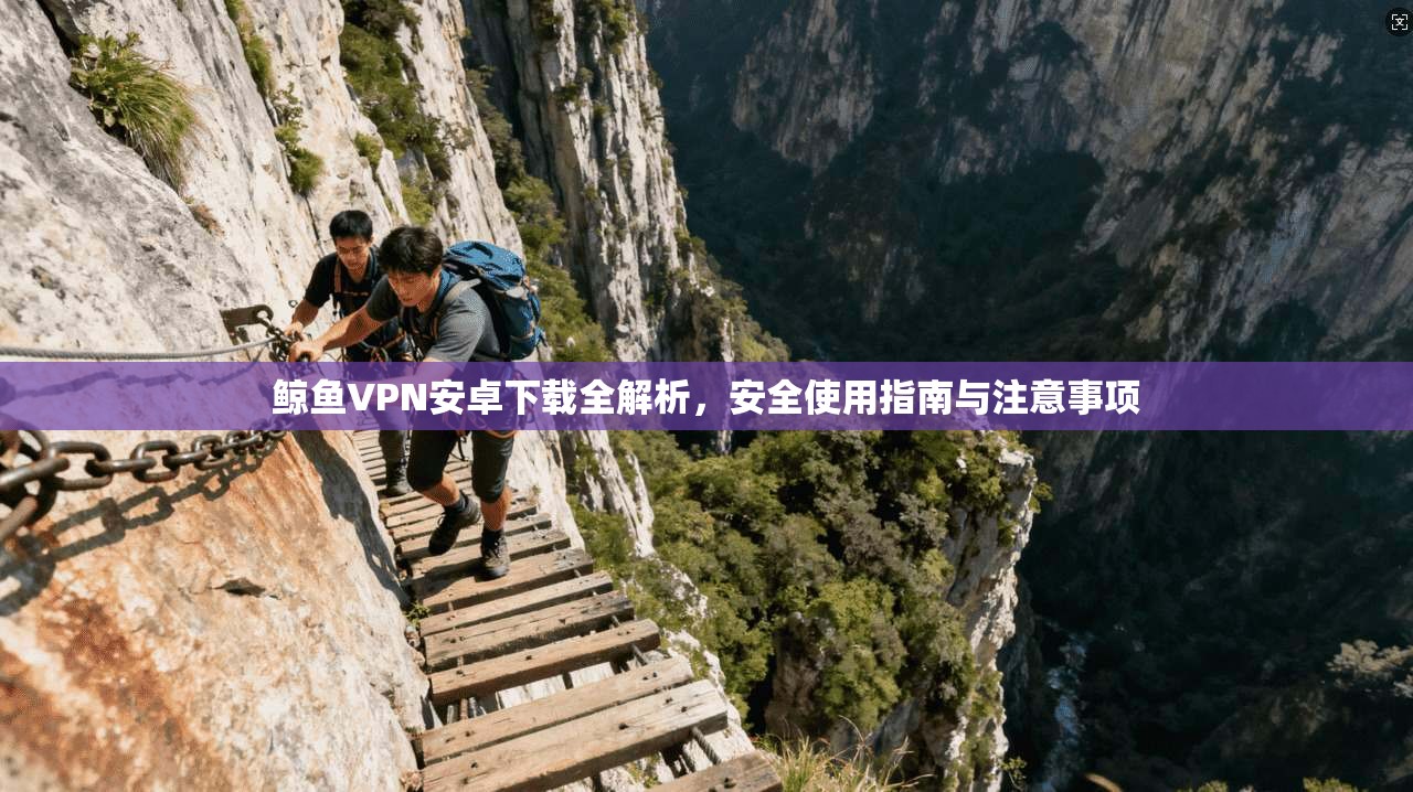 鲸鱼VPN安卓下载全解析，安全使用指南与注意事项
