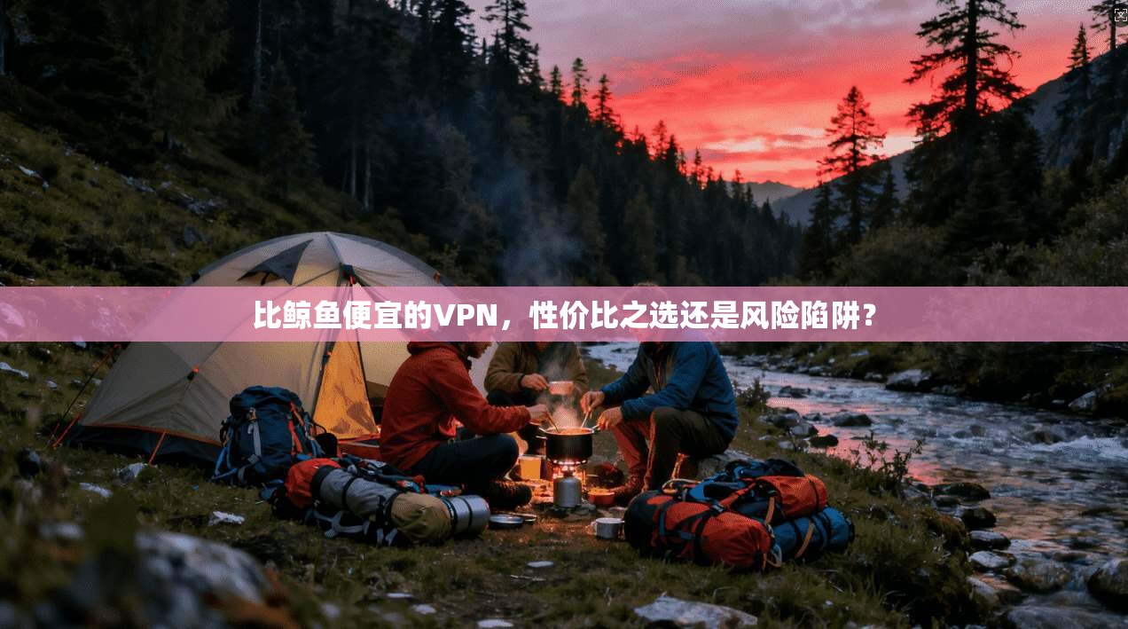 比鲸鱼便宜的VPN，性价比之选还是风险陷阱？