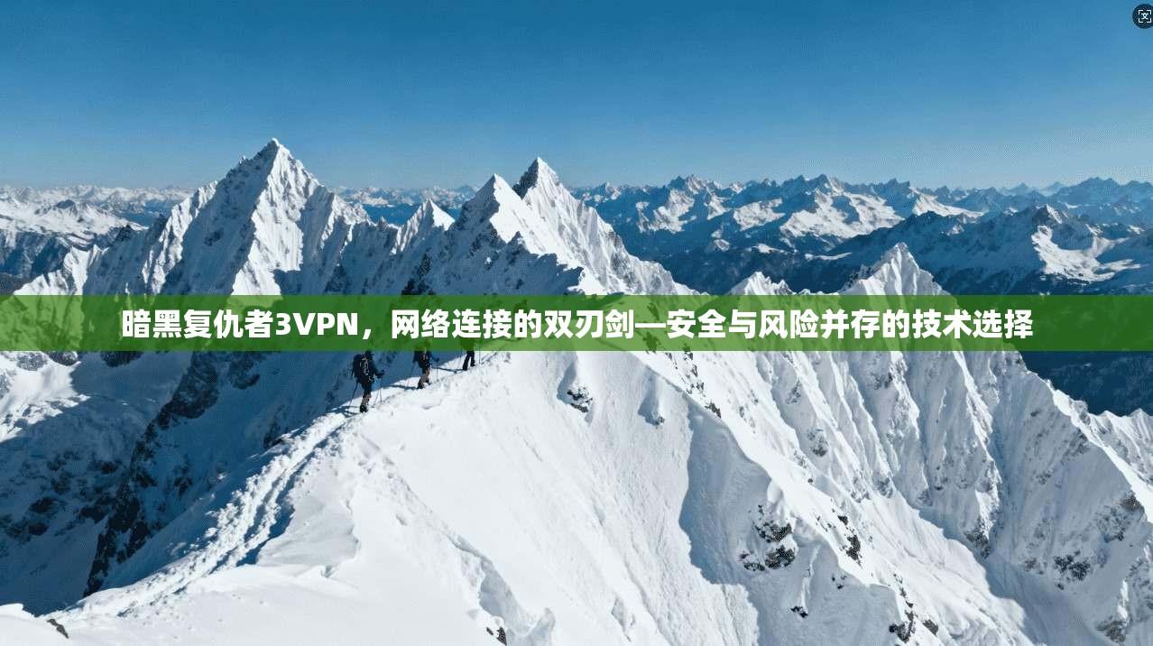 暗黑复仇者3VPN，网络连接的双刃剑—安全与风险并存的技术选择